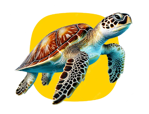 Turtle