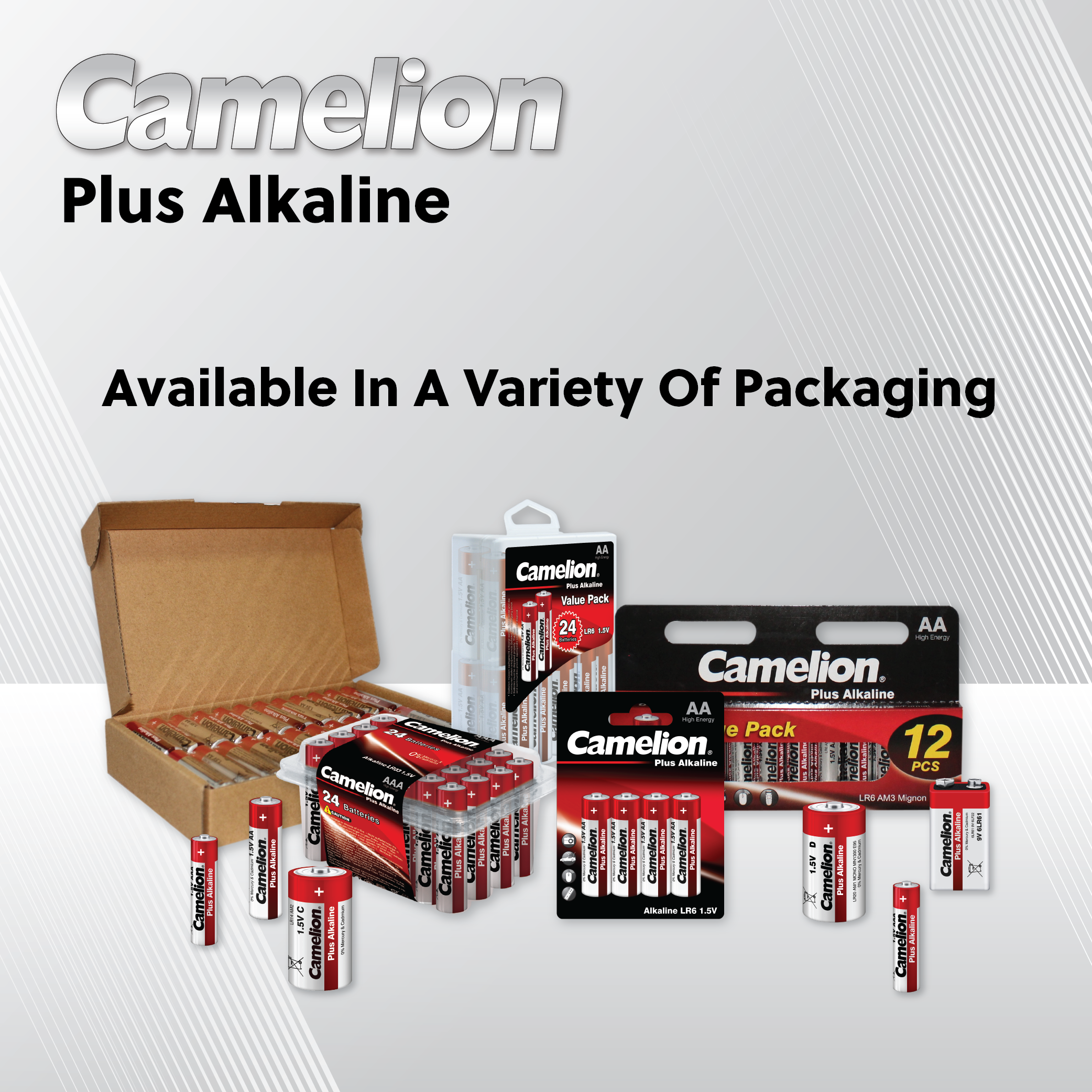 Camelion D Plus Alkaline Plastic Tub of 4