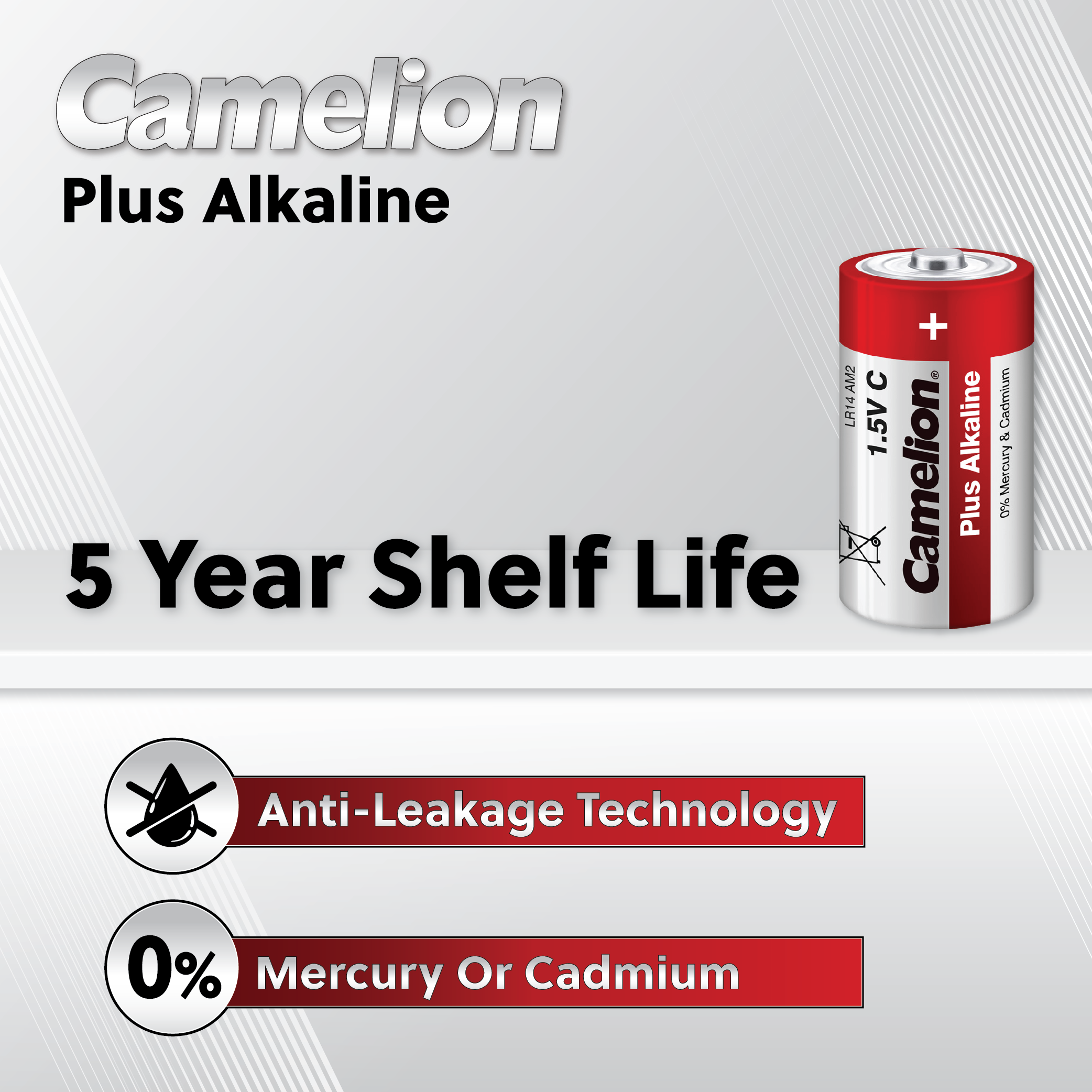 Camelion D Plus Alkaline Plastic Tub of 4