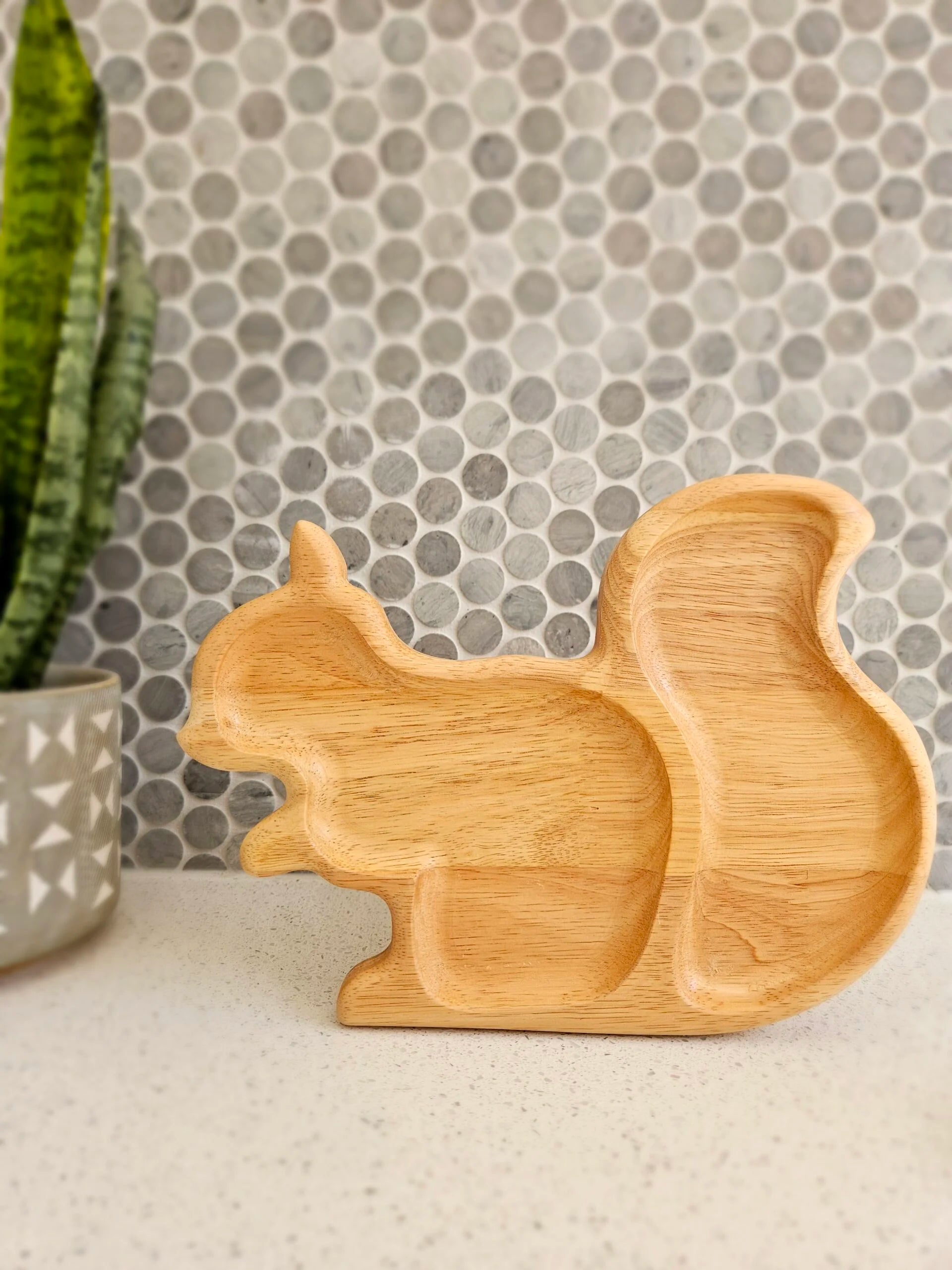 QToys Australia (USA) Squirrel tray