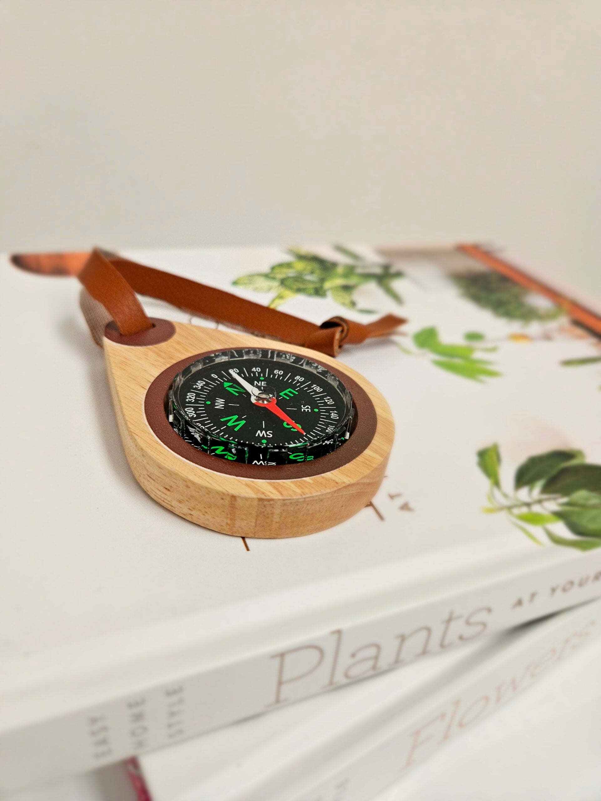 QToys Australia (USA) Wooden compass