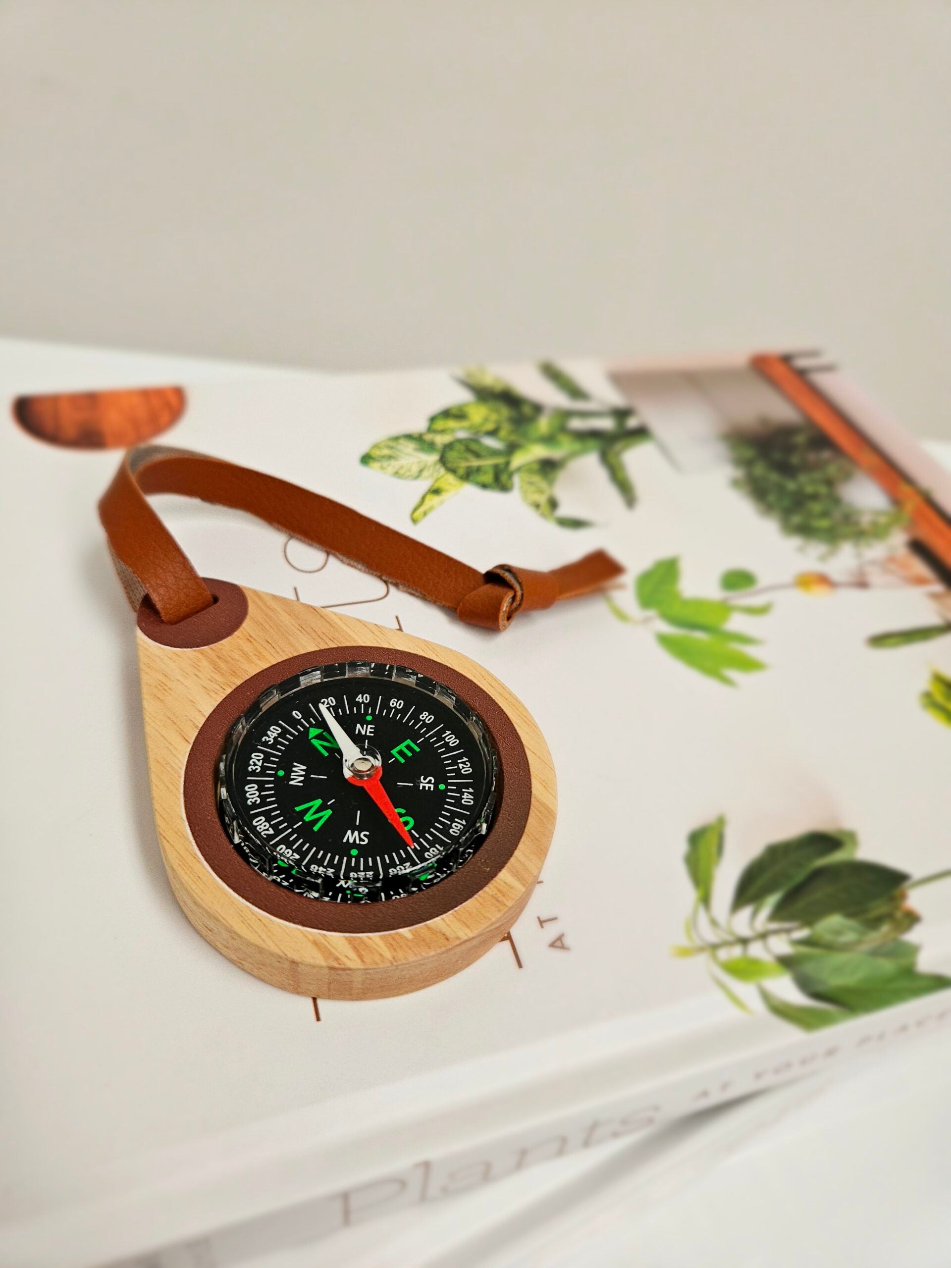 QToys Australia (USA) Wooden compass