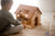 QToys Australia (USA) HORSE STABLE
